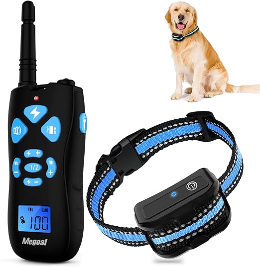 using shock collar for training