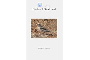 AVITOPIA - Birds of Svalbard