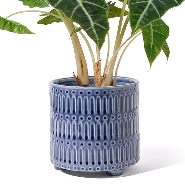 STHIE 5 INCH CERAMIC PLANTERS FOR INDOOR PLANTS,...