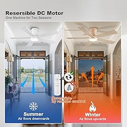 Ceiling Fans with Lights, 42 inch Low Profile