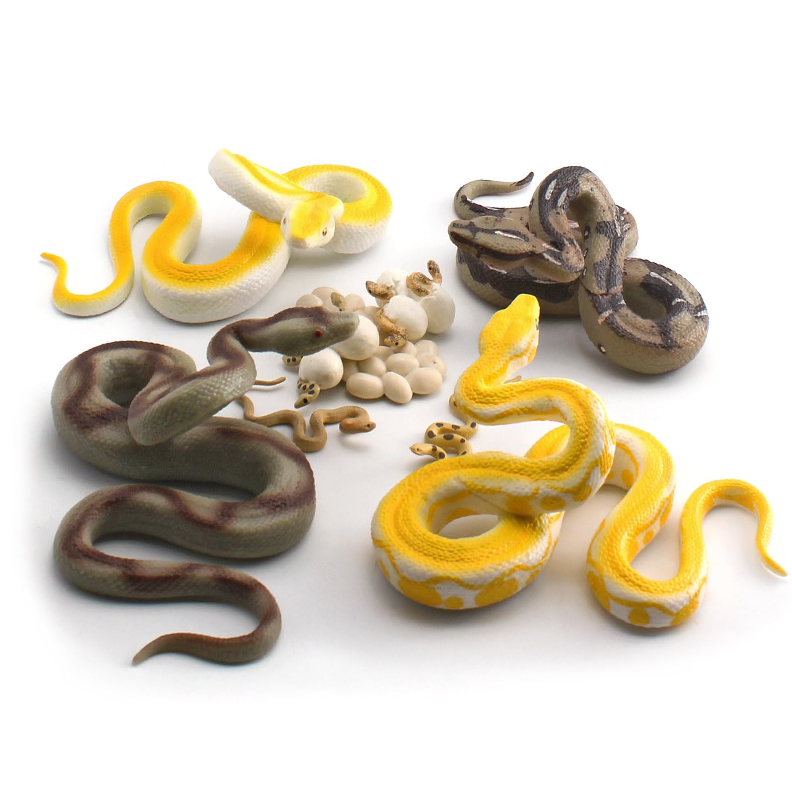 Photo 1 of 10PCS 5Inch Solid Realistic Boa Constrictor Figurine Python Figurine Snake Figures For Kids Cobra Life Cycle With Leaves Model Diorama Supplies Birthday Party Favors Cake Topper For Boys Girls Kid