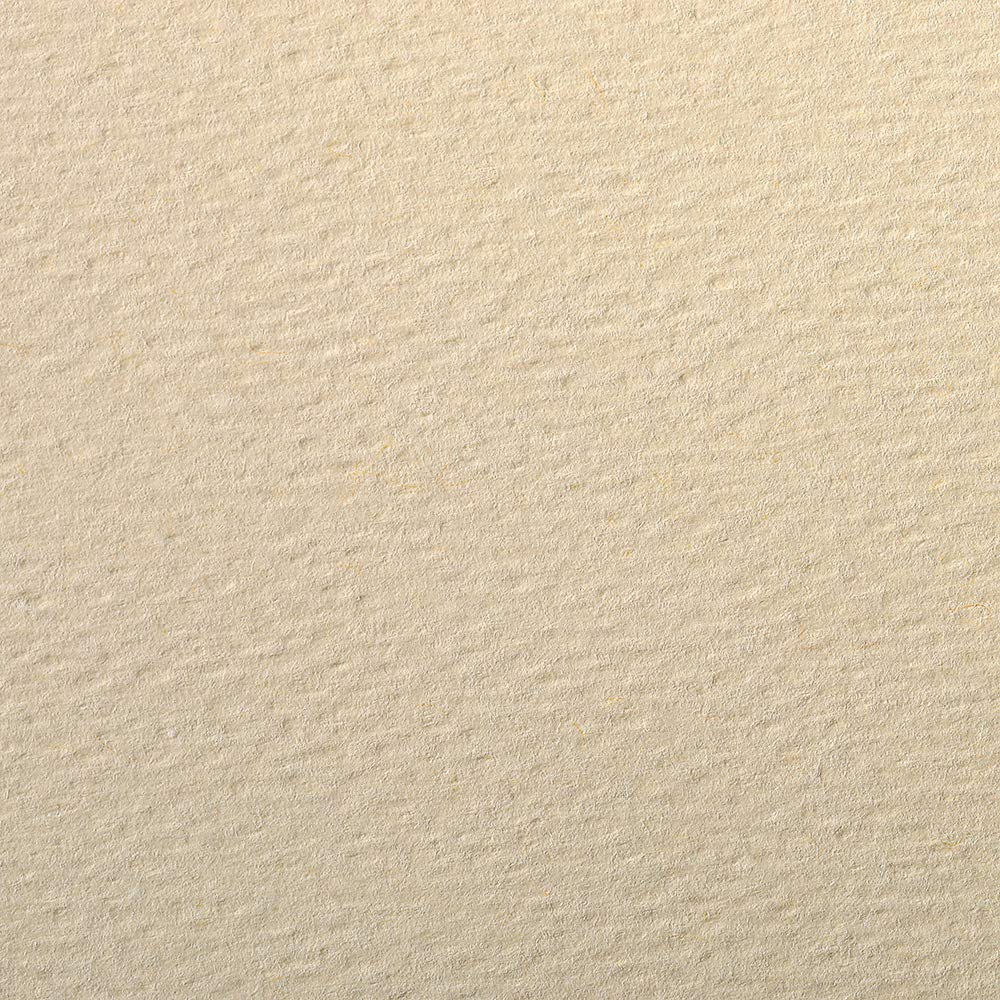 Clairefontaine - Ref 93882C - Etival Coloured Grained Drawing Paper (Pack of 25 Sheets) - A4 (29.7 x 21cm) - 160gsm Cellulose Art Paper - Ivory - Acid Free, pH Neutral