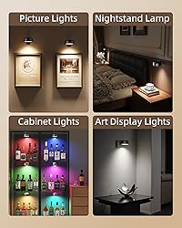 EZVALO Picture Lights for Wall with Charging
