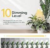 Mcbazel Plant Growing Light 48 LEDs Full Spectrum 10 Dimmable 180° Rotatable view 3