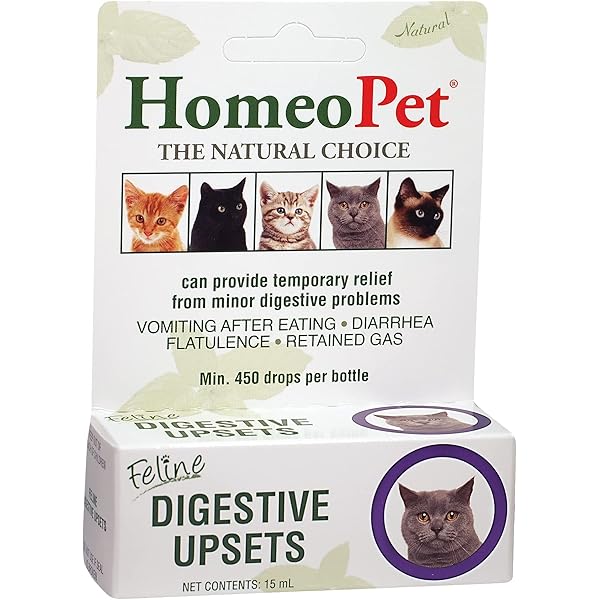 Safe OverTheCounter Options For Cat Diarrhea A Comprehensive Guide