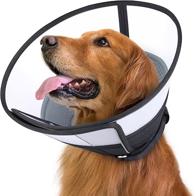 ROMANTIC BEAR Large Dog Cone Collar Soft Comfort Grey 15.7-18.9 in