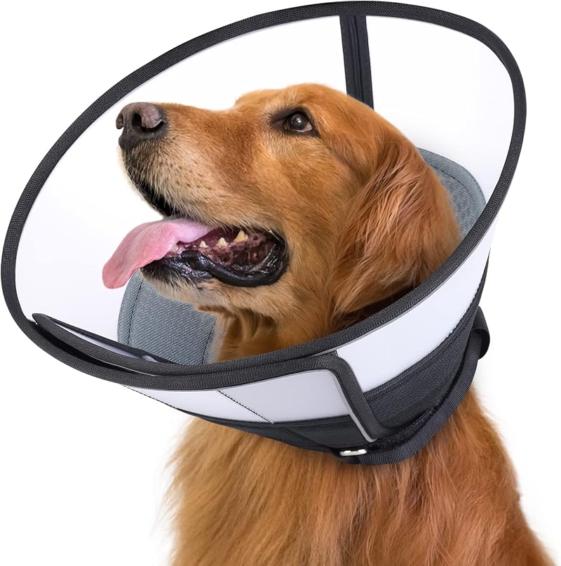 ROMANTIC BEAR Large Dog Cone Collar Soft Comfort Grey 15.7-18.9 in