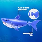 Robo Alive Water Activated Shark 2 Pack Blue by ZURU – Realistic Swimming view 2