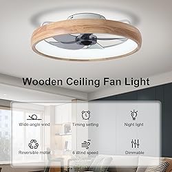 WenineStar 20” Ceiling Fan with Light, Dimmable