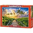 CASTORLAND 3000 Piece Jigsaw Puzzle, Colorful Sunrise in Miami, USA, Adult Puzzle, Castorland C-300617-2