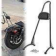 Dasen Dasen 20" Tall Sissy Bar, Passenger Backrest Triple Polished Compatible with Harley Sportster XL 883 1200 XL Models 2004-2022 Glossy Black