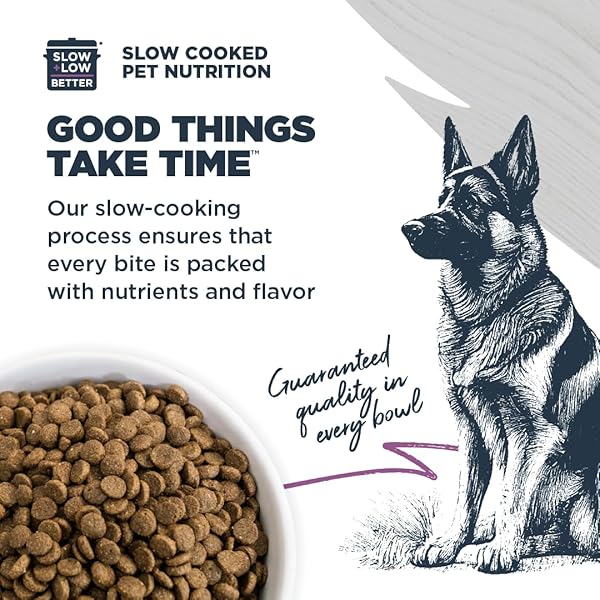 BLACKWOOD SENSITIVE SKIN & STOMACH DRY DOG FOOD, SALMON MEAL & BROWN RICE WITH ANCIENT GRAINS, 4.5 POUND BAG WITH PREBIOTICS & PROBIOTICS TO PROMOTE GUT HEALTH