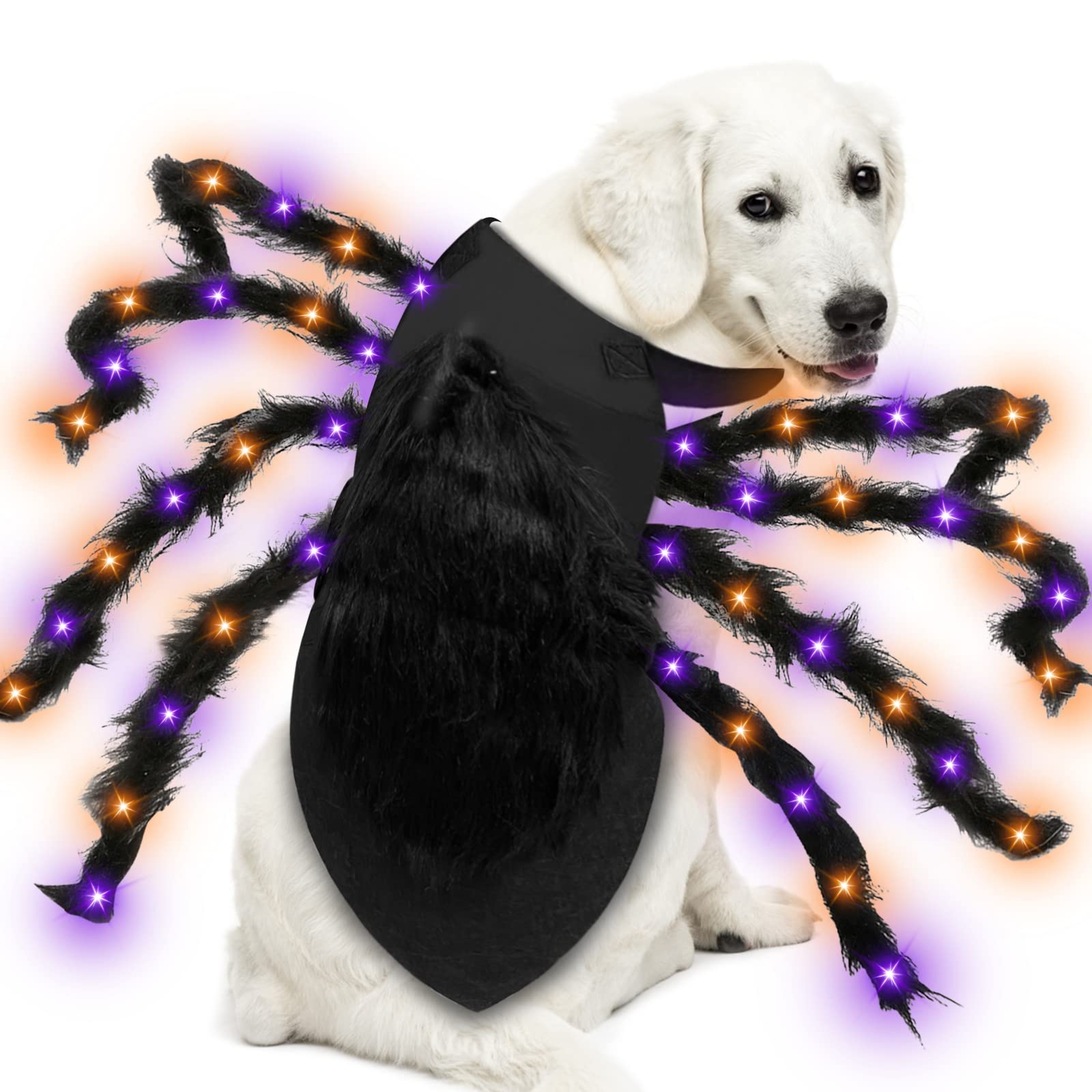 Photo 1 of Camlinbo 24 LED Spider Dog Halloween Costume for Small Medium Large Dogs, Furry Giant Spider with Orange Purple Lights Puppy Pet Costume Outfits Clothes Funny Halloween Costume Party Cosplay