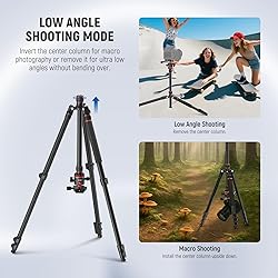 NEEWER Basics Camera Tripod Monopod, 77" Compact