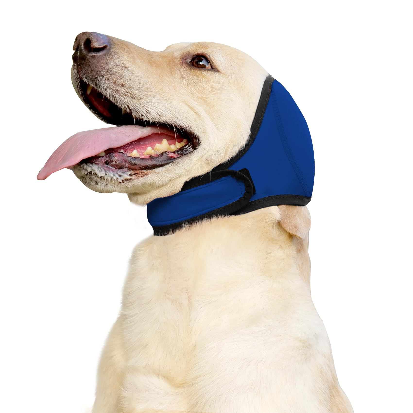 Photo 1 of JOHNBOLIN Dog Ear Muffs & No Shake Ear Wrap for Hematoma, Bathing, Drying & Noise Anxiety Relief - Elastic Waterproof Ear Protector with Calming Hoodie Design for Grooming (Blue, L)