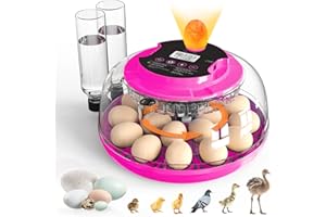 MEGAPUXIN Incubator for Hatching Eggs, 18 Eggs Capacity, Incubators with Egg Candler, Automatic Egg Turner, Temperature & Humidity Control, Full Viewing for Chicken, Duck, Quail, Goose, Parrot, Pigeon
