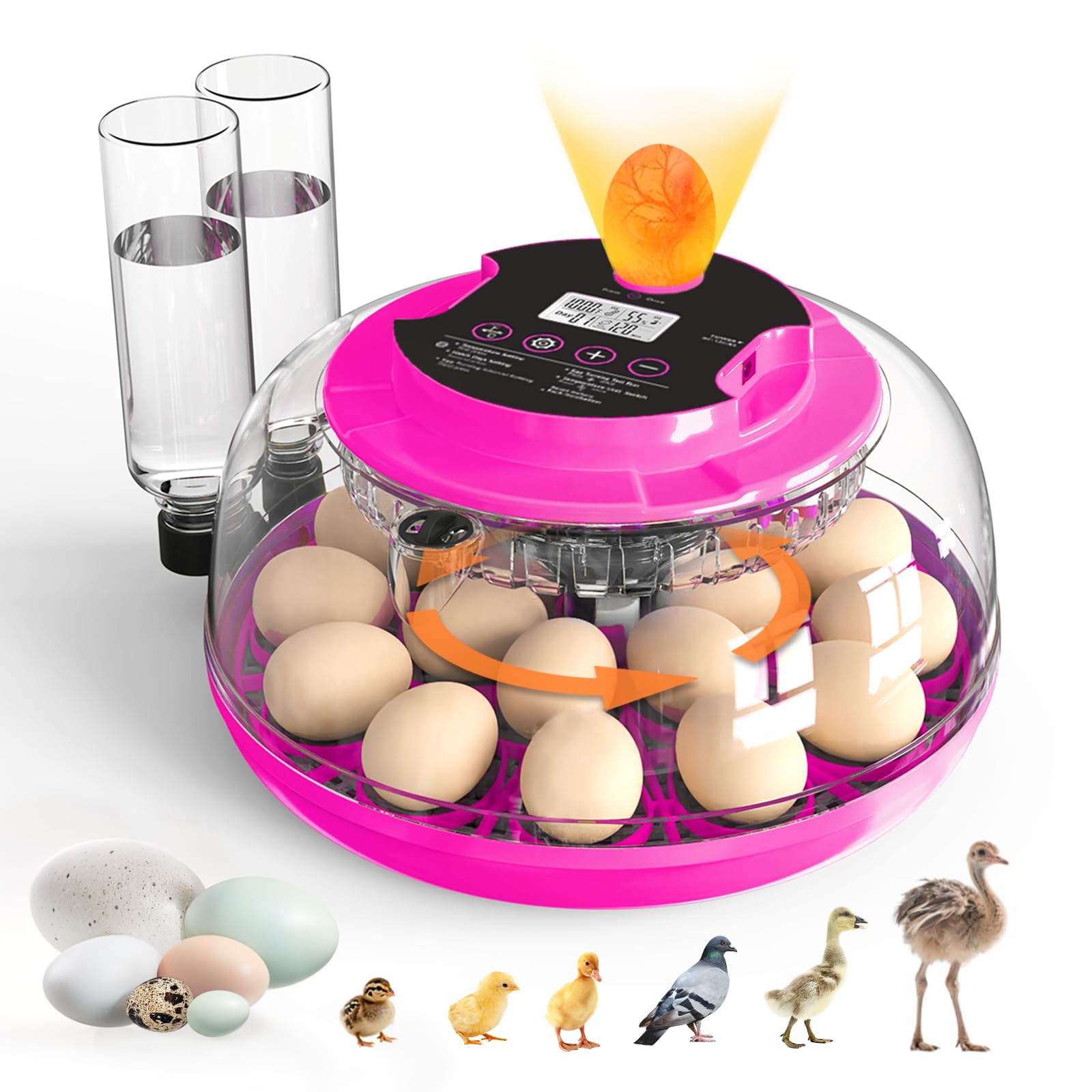 Photo 1 of Incubator for Hatching Eggs, 18 Eggs Capacity, Incubators with Egg Candler, Automatic Egg Turner, Temperature & Humidity Control, Full Viewing for Chicken, Duck, Quail, Goose, Parrot, Pigeon