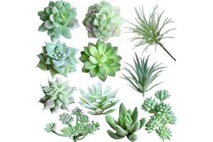 Supla 11 Pcs Mini Artificial Succulents Picks Unpotted Faux Succulent Assortment in Flocked Green in Different Type Different Size Succulents Echeveria Agave Floral Arrangement Mother Day' s Gift