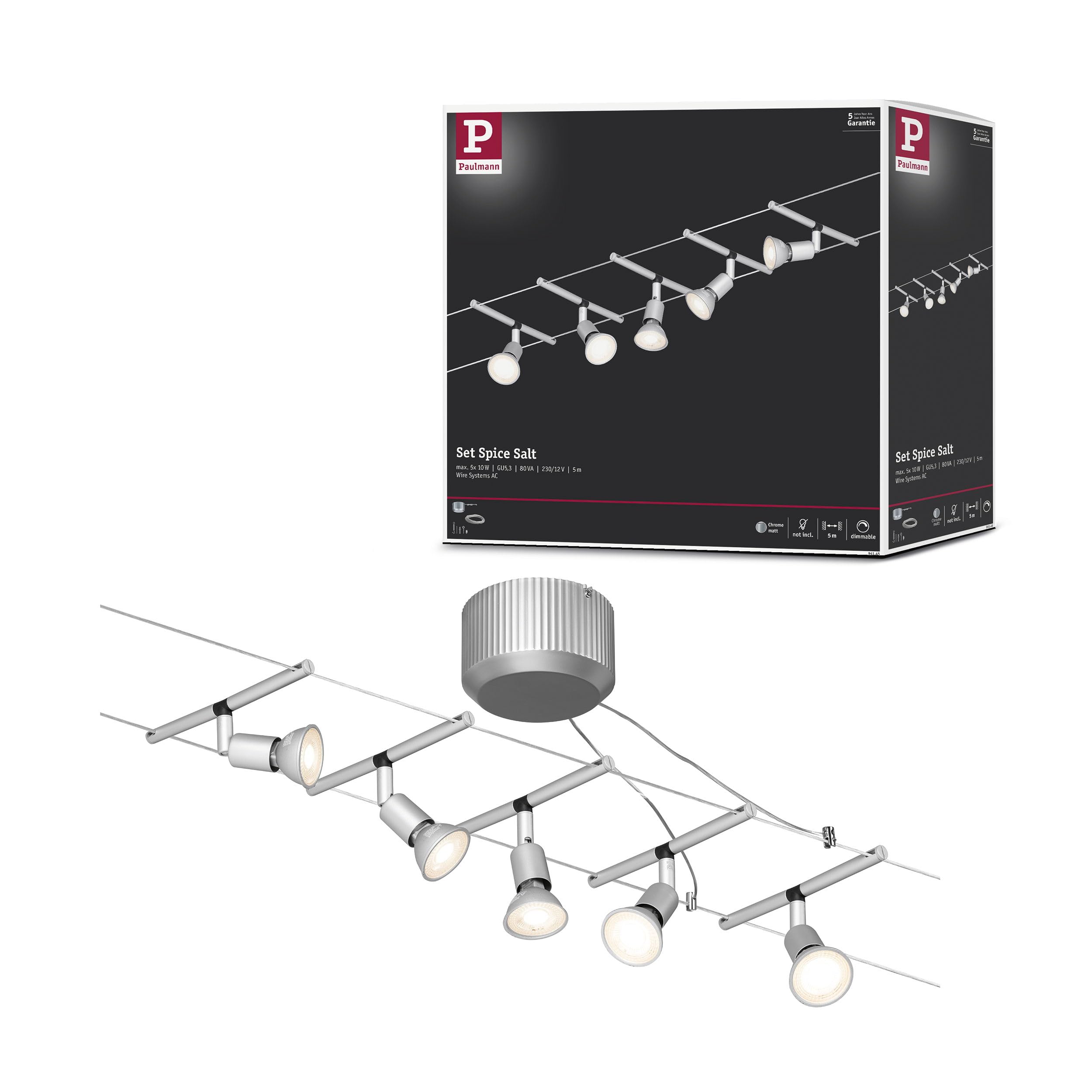 Paulmann 94145 Cable Lighting System – Sice Salt Set, Extendable Max 5 x 10 Watt Matt Chrome Wire Suspension Lamp Cable Lighting System Without Bulbs