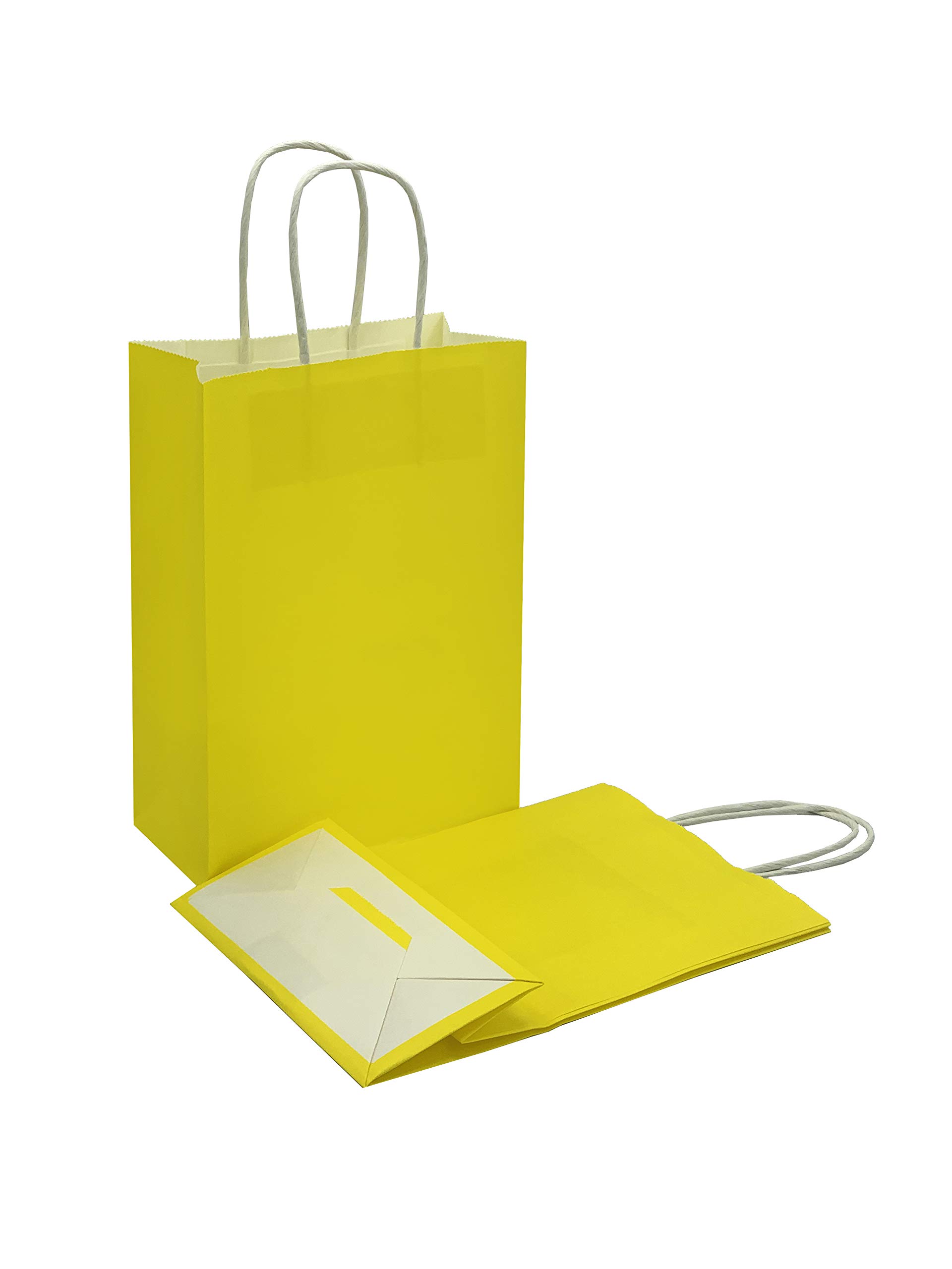 Pack of 4 Pieces Mix of 2 Different Sizes Vertical and Horizontal Gift Bags (Yellow)