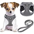 YIMEIS Dog Harness and Leash Set, No Pull Soft Mesh Pet Harness, Reflective Adjustable Puppy Vest for Small Medium Large Dogs, Cats (Gray, Medium (Pack of 1)