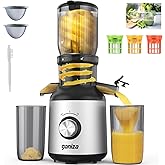 Ganiza Juicer Machines, Slow Masticating Juicers with Large Feed Chute for Whole Fruits & Vegetables, Cold Press Juicer with 3 Replace Filters for Batch Juicing, Easy to Clean, BPA Free(Silver)