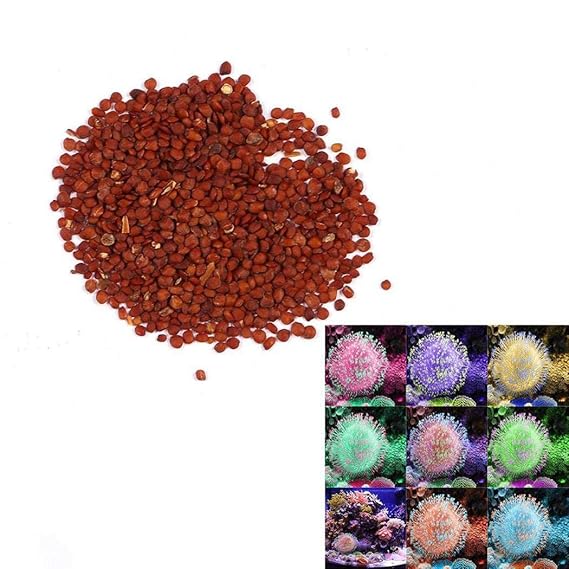 Vobome 100 teile/beutel Gemischte Fluoreszierende Wasser Grassamen Aquarium Decor Herb Pflanzen Blumensamen