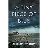 A Tiny Piece of Blue: A Novel