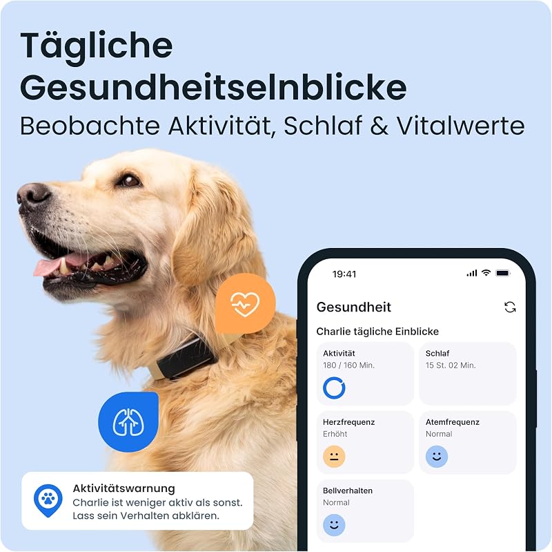 Smarter Hunde GPS Tracker | Bundle mit Cover | Modell 2025 | Live-GPS-Ortung | Weglaufalarm & Gesundheitswarnungen | Beobachtung der Vitalwerte | Marktführer (Schwarz)