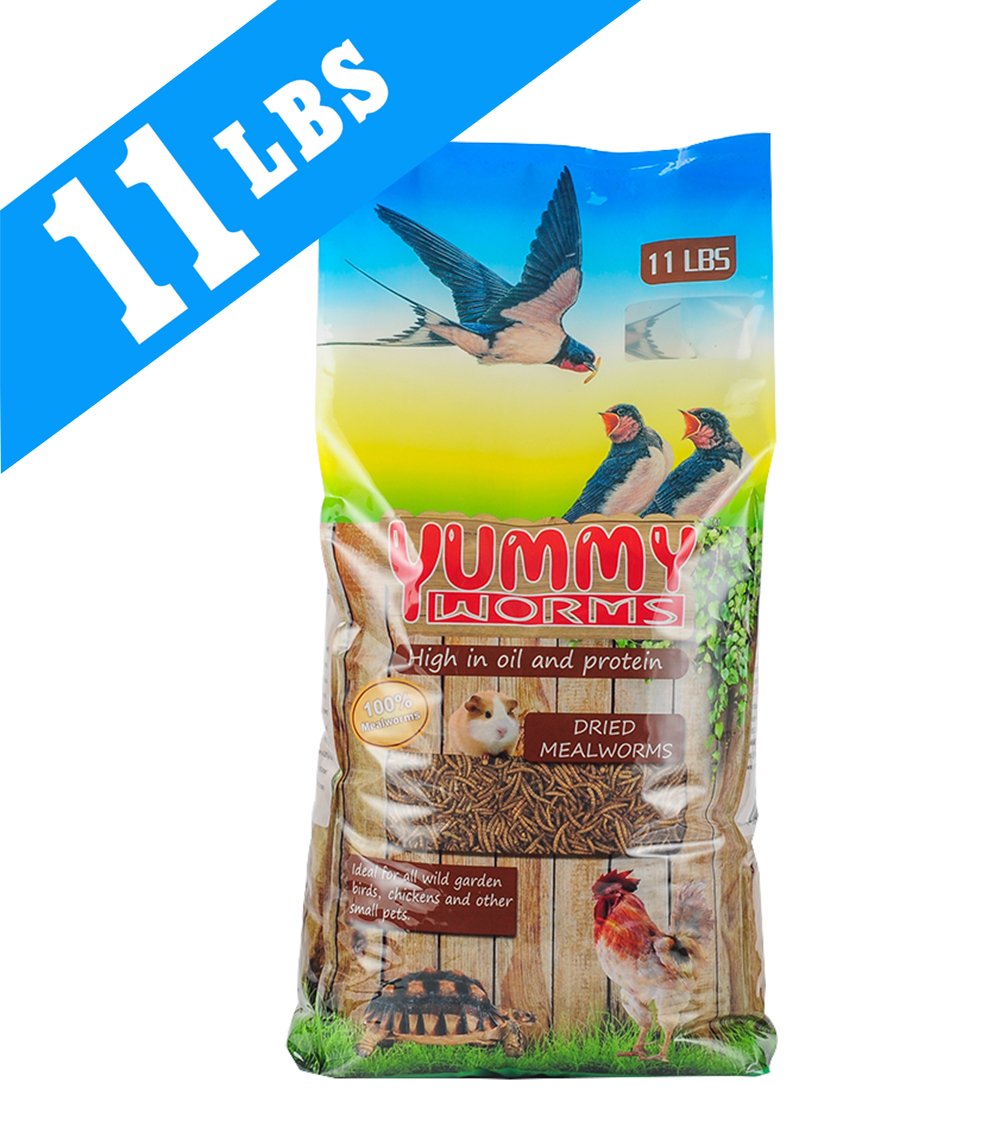 YUMMYWORMS Organic Intact Dried Mealworms Bulk Treats for Backyard