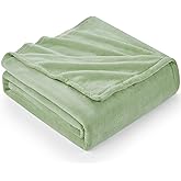 Hansleep Fleece Sage Green Queen Blanket, Super Soft Flannel Fuzzy Plush Cozy Blanket for All Seasons, Sage Green, Queen 90x90 Inches
