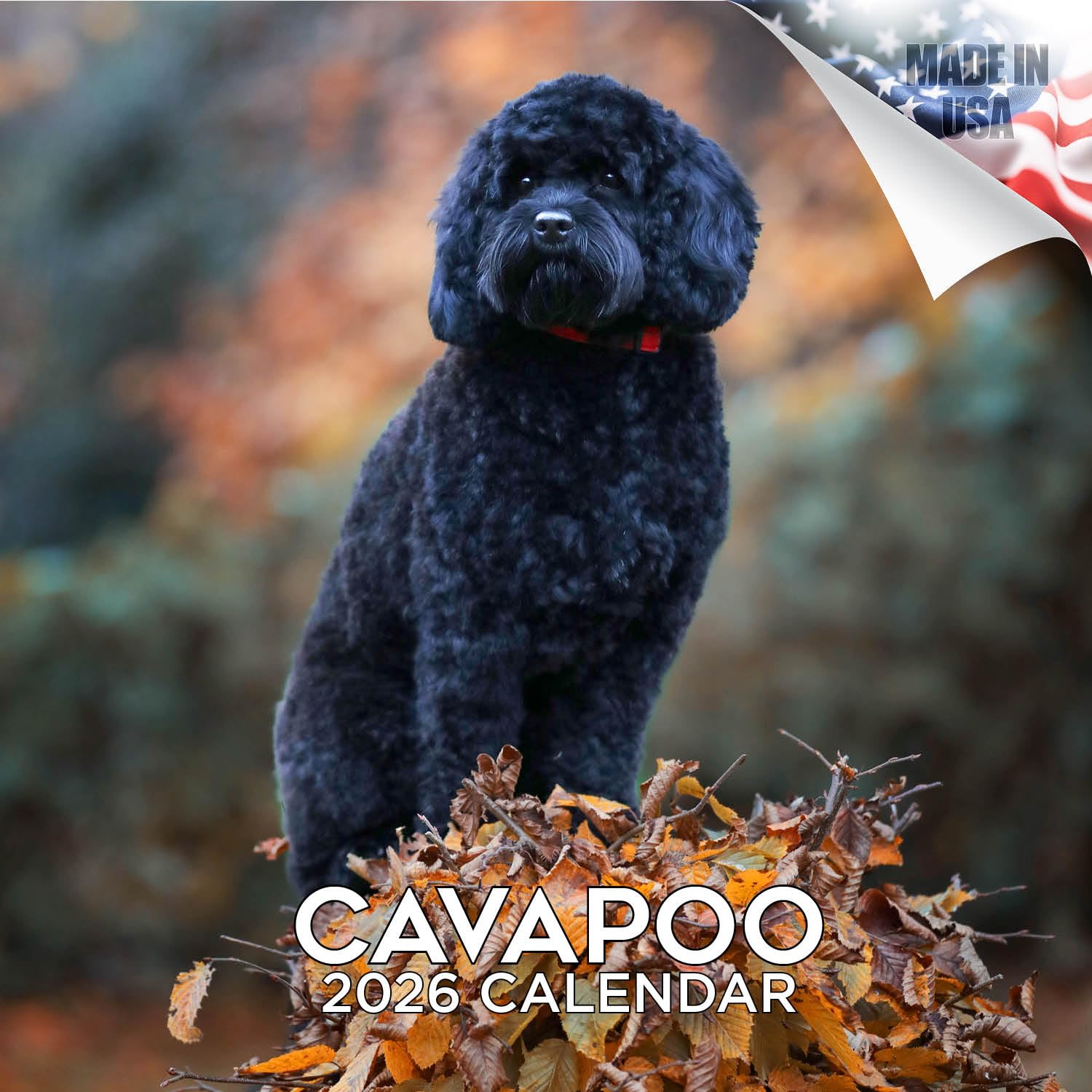 2024 2025 Cavapoo Calendar - Dog Breed Monthly Wall Calendar - 12 x 24 Open - Thick No-Bleed Paper - Giftable - Academic Teacher's Planner Calendar Organizing & Planning - Made in USA โ image 1