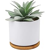 Hopewood Succulent Plants Artificial - Faux Agave Succulent Plant in Ceramic Pots with Bamboo Tray for Office Desk Living Room Decor(5.9inch)