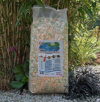 40 Foto Ed Idee Per Bellissimi Laghetti Da Giardino Mondodesign It