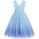 Kids Girls Wedding Flower Girl Dress Rainbow Sparkly Tulle Formal Prom Ball Dress