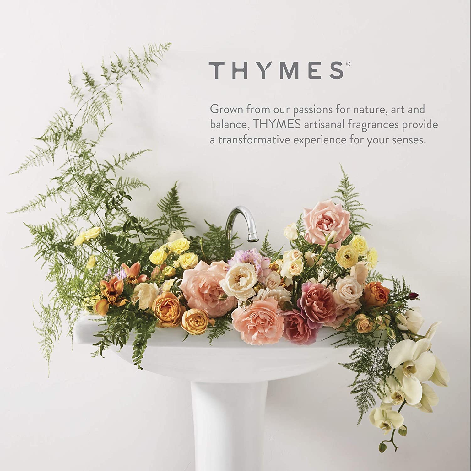 Thymes Travel Tin Holiday Candles - Scented Candles for Home Decor - Winter Scents - Christmas Gifts - Luxury Home Fragrance Gifts for Women & Men - Gold (Frasier Fir, 2.5 oz)