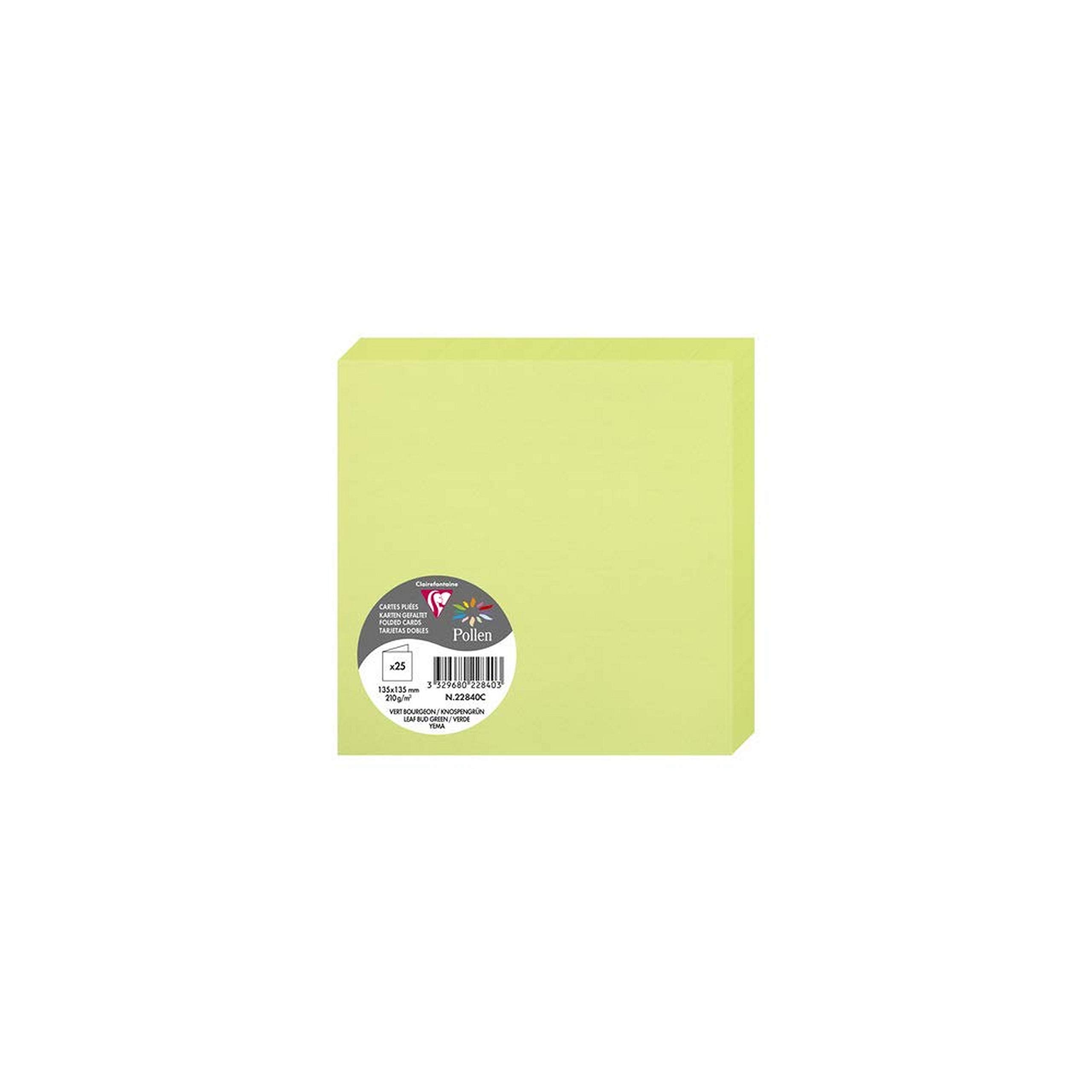 Clairefontaine 22840C Pack of 25 Double Cards Square (13.5x13.5cm) 210g Leaf Bud Green Invitation Correspondence Cardboard Pollen Range Premium Smooth Paper
