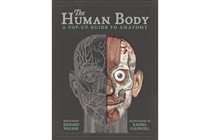 The Human Body: A Pop-Up Guide to Anatomy