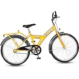 ale master bib shorts