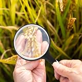 Faumsut Large 10X Magnifying Glasses Reading Handheld Set 2pcs White view 6