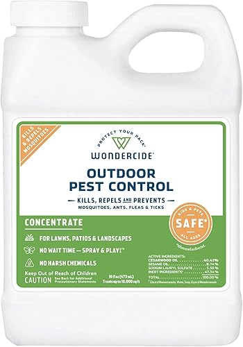 hstcstbl-table__image