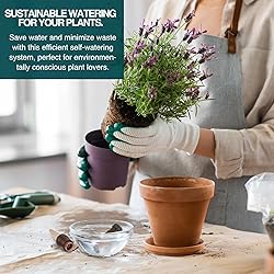 Blumat Classic Plant Watering Stakes with Adapters