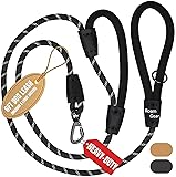 Roam Gear 6 Foot Dog Leash, 2 Extra Padded