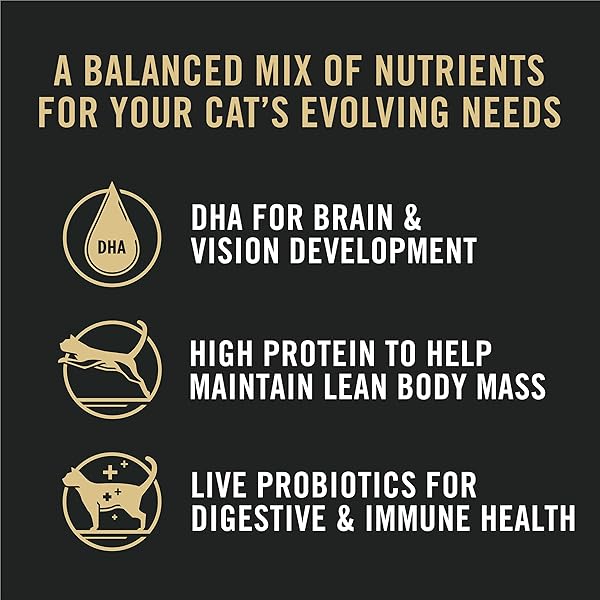 PURINA PRO PLAN ALL LIFE STAGES HIGH PROTEIN CAT FOOD CHICKEN AND RICE DRY KIBBLE 5.5 POUND (PACK OF 1)