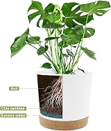 QCQHDU Plant Pot 25.4cm 2 Pack with Drainage Holes & Saucer White view 4