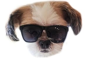 STYLE VAULT G014 Dog Small Breed up to 15lbs Pet Cat Puppy 80s Retro Sunglasses (Black)