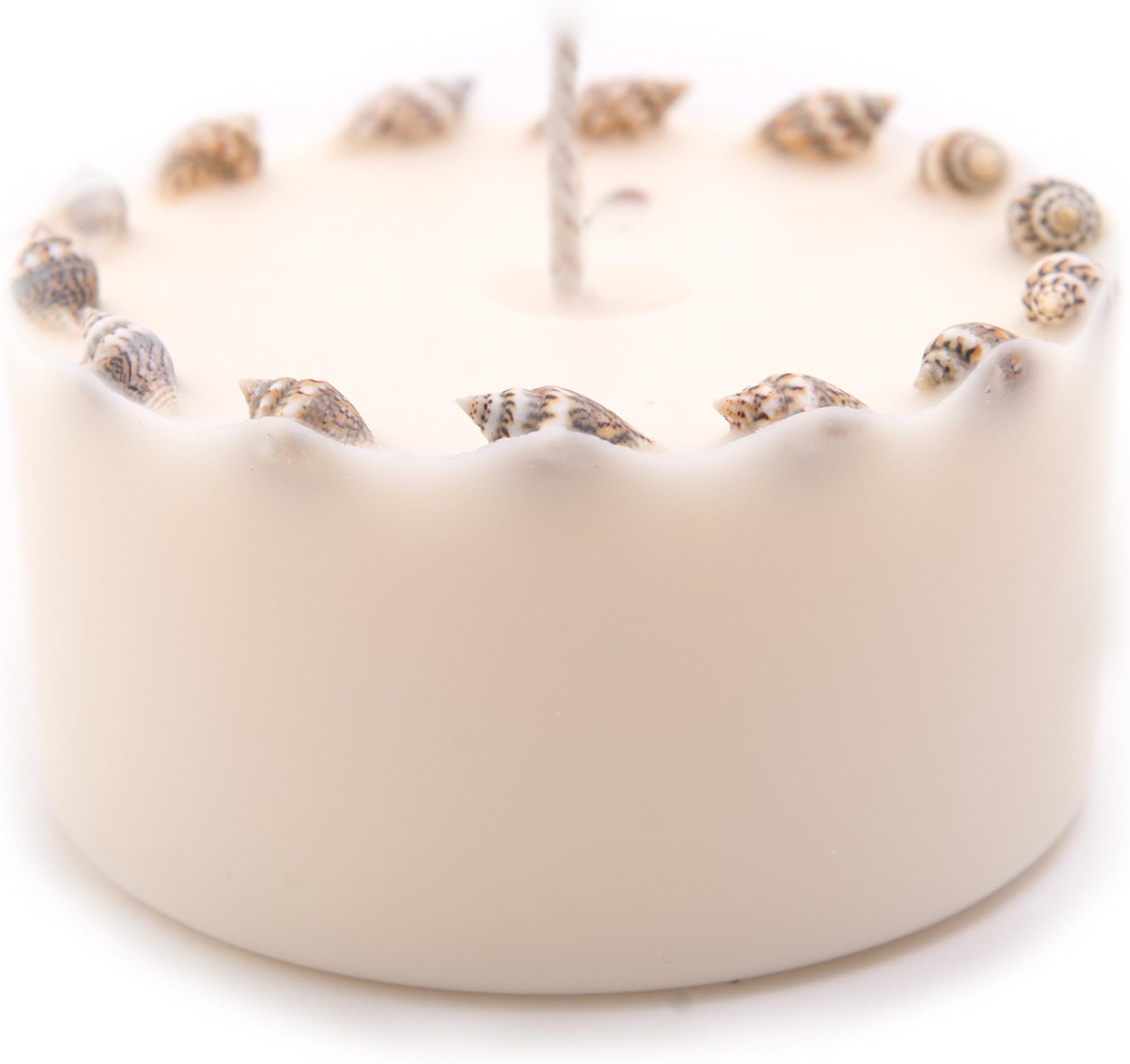 Lemon Verbena Organic Soy Wax Candle with Real Shells