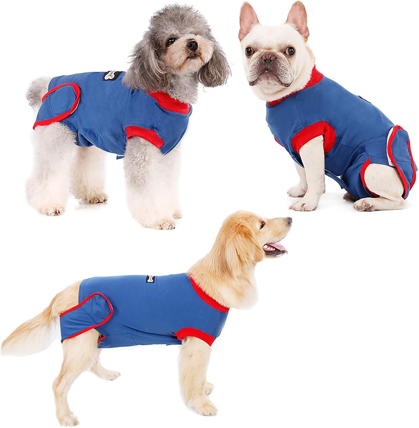 alternatives to dog cones after surgery