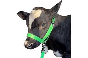 KABAHORZE Cow Halter Cattle Halters Calf Halter with Leading Rope，Adjustable Nylon Livestock Cattle Halter，for Miniature Horse Donkey Goat Foal (Green, Small)