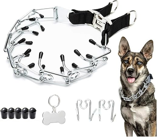 large prong collar